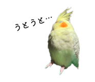 845089499