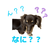 845090038