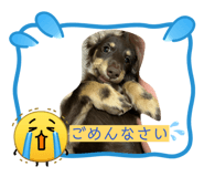 845090040