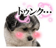 845090338