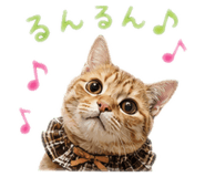 845090398