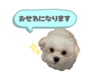 845090545