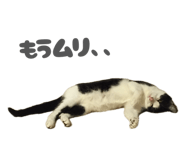 845090936