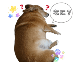 845091179