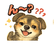 845091234