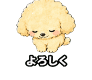 845092925