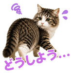845093406