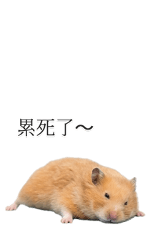 845093873