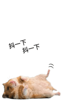 845093894