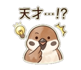 845094365