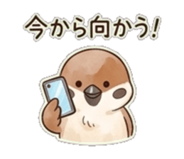 845094379