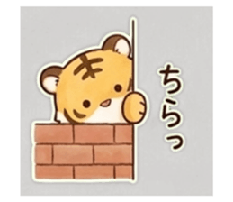 845094392
