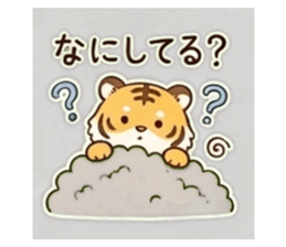 845094402