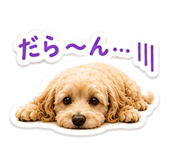845094903