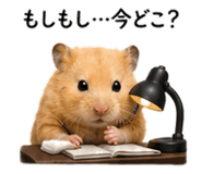 845095252