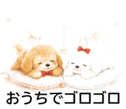 845095471