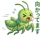 845095969