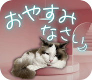 845095980
