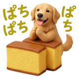 845096538