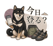 845096872
