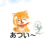 845097329