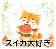 845097333