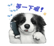 845098039