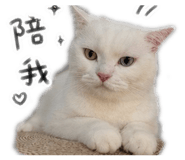 845098441