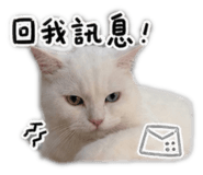 845098450