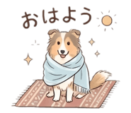 845099409