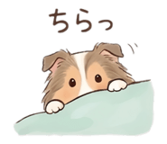 845099412