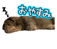845099447