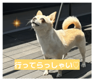 845099749