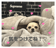 845099760