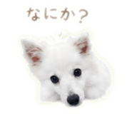845100834