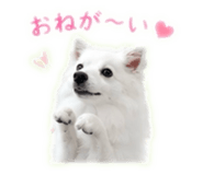 845100841