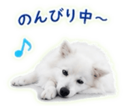 845100843