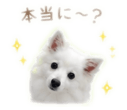 845100865