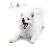 845100866