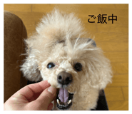 845101990