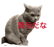 845102036