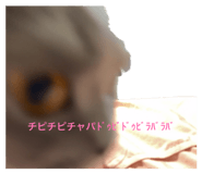 845102039