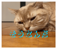845102047