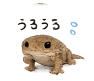 845102681