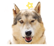 845102698