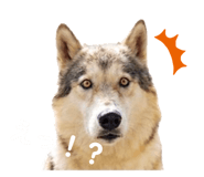 845102702