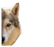 845102709