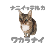 845102894