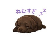 845103191