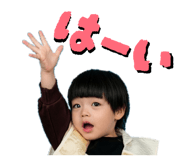 845103650